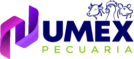 Logotipo Numex